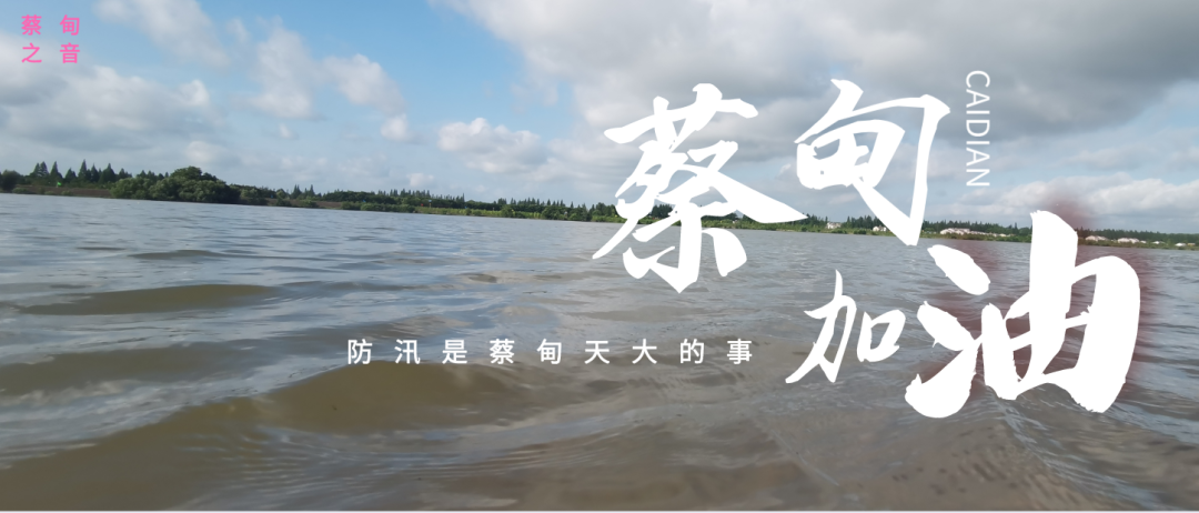 蔡甸區(qū)啟動防汛ⅰ級應(yīng)急響應(yīng)，做好鋪土釘防汛木樁工作