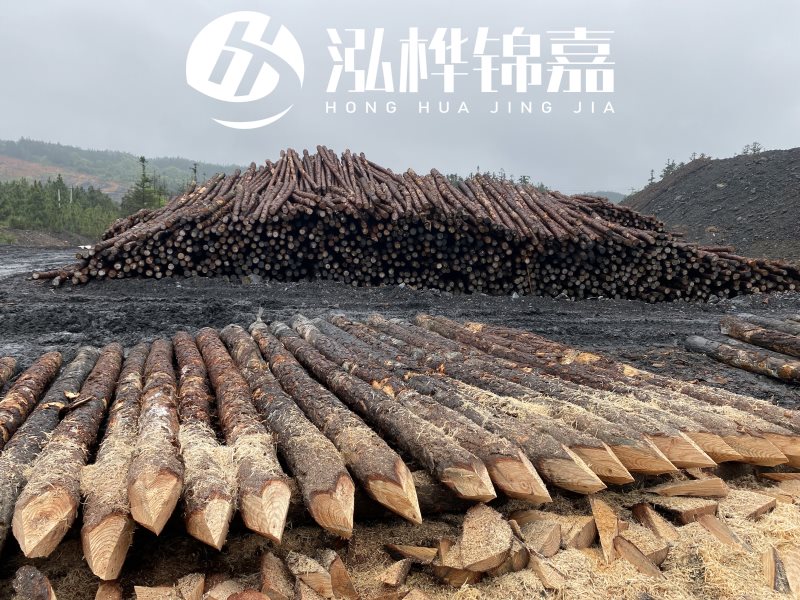 6米長(zhǎng)松木樁有哪些作用，多少錢(qián)一根？
