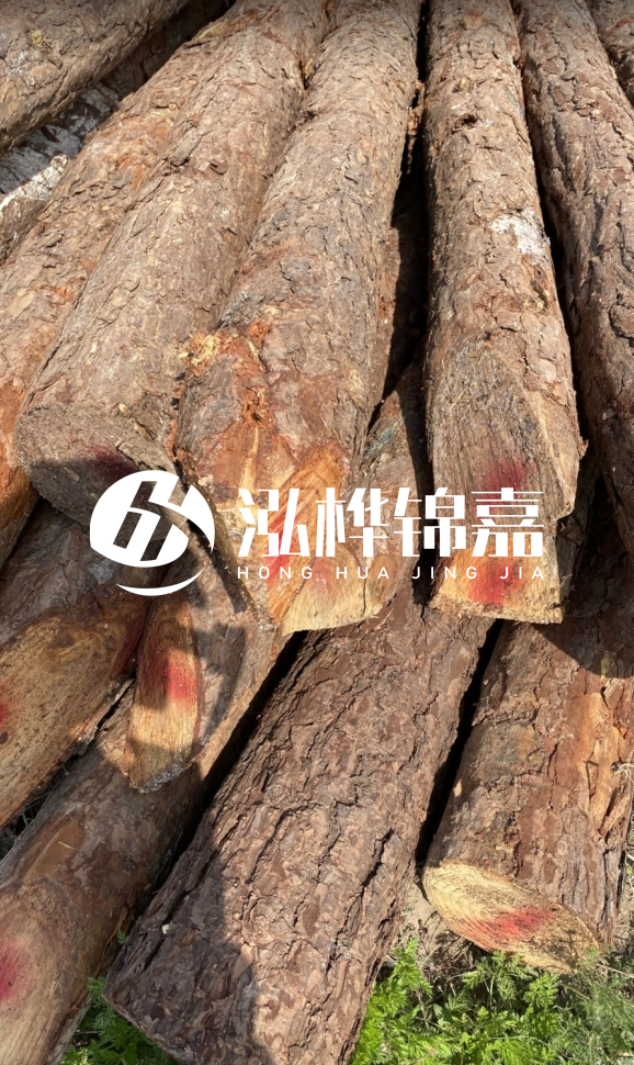 <strong>松木樁和杉木樁的用途區(qū)別？哪個(gè)更適合打樁用？</strong>