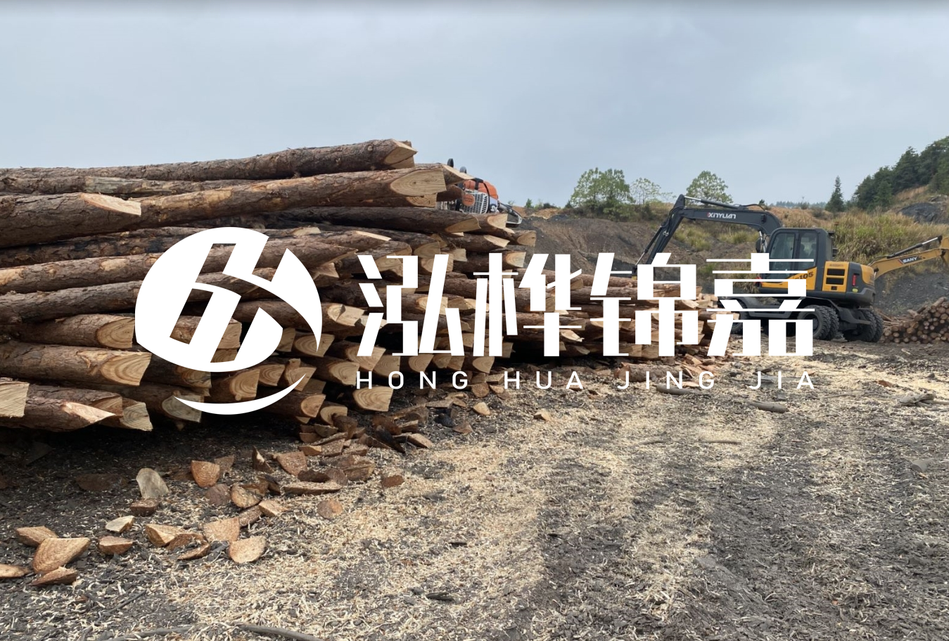 松木樁尾徑是什么意思？