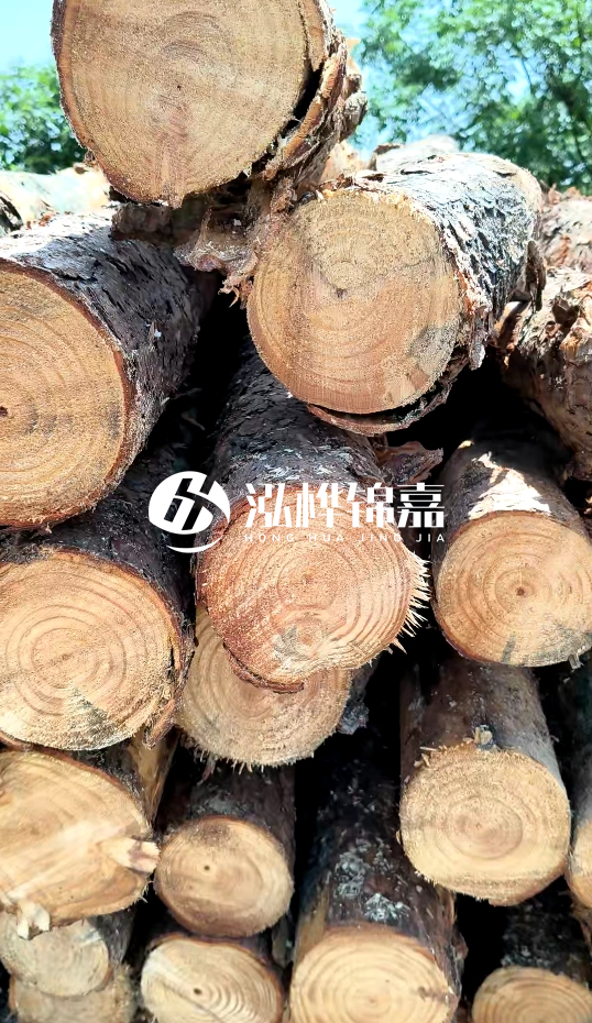 周口挖機(jī)打木樁專業(yè)施工-杉木樁施工打樁怎么打？