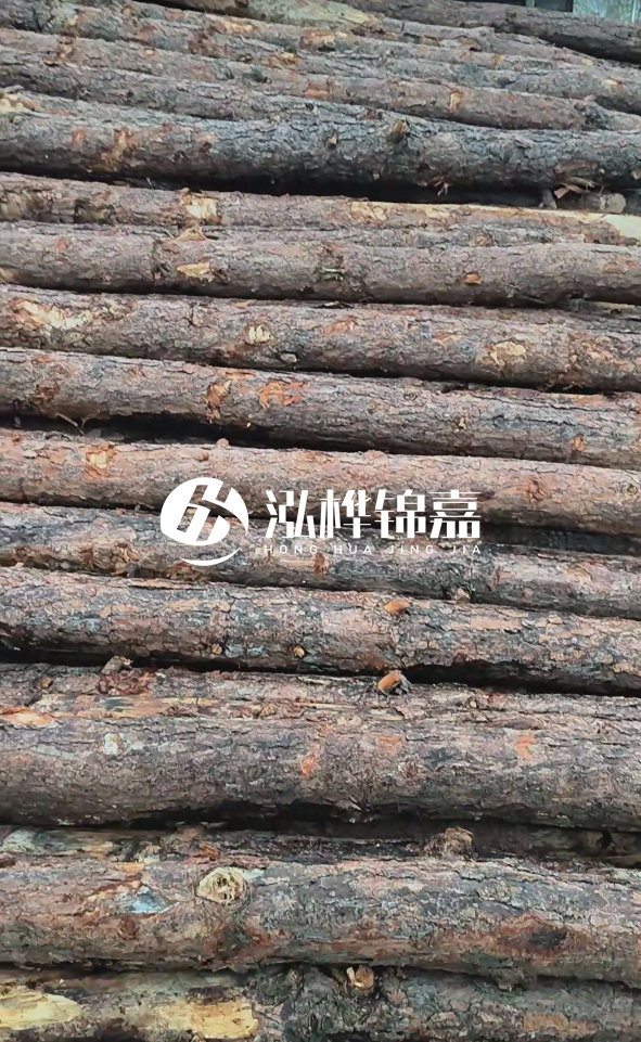 陽(yáng)江松木樁源頭廠家-哪一種打樁木最便宜？