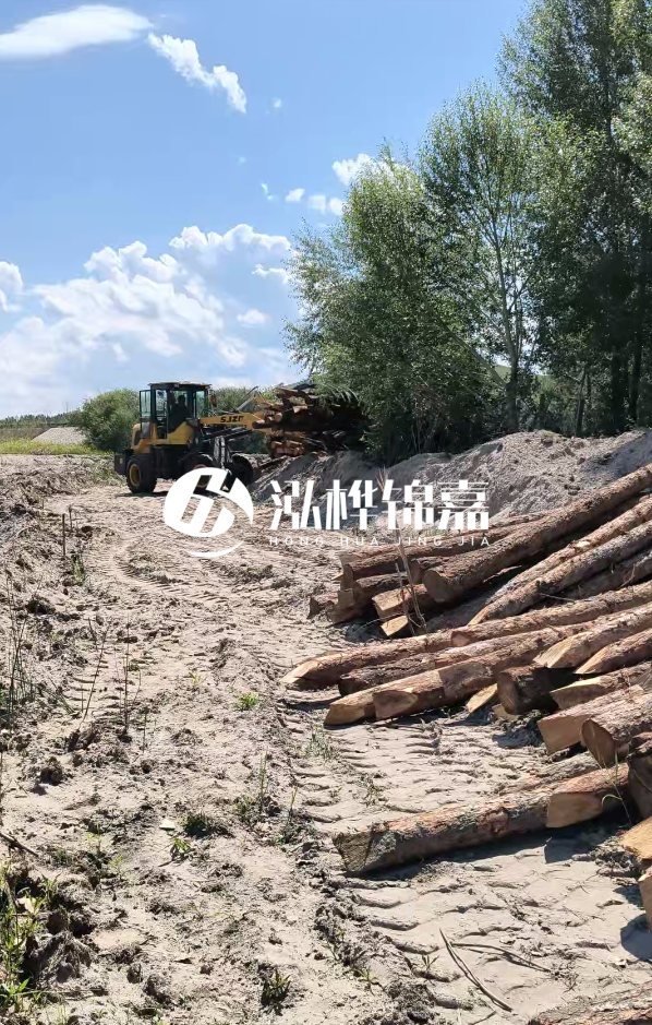松木樁處理技術要求是什么-松木樁處理地基間距多少合適呢？