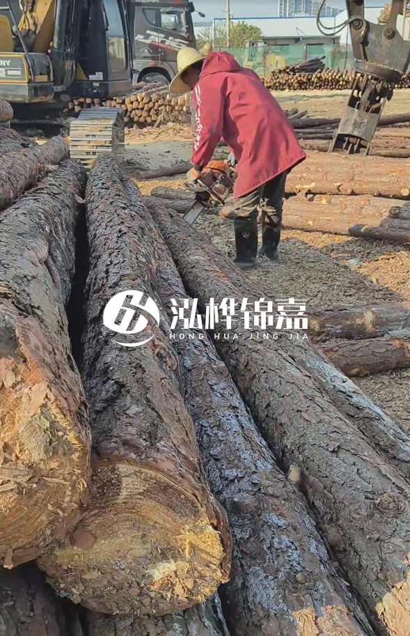 長(zhǎng)沙打樁木批發(fā)廠家在哪里？聯(lián)系方式是什么？