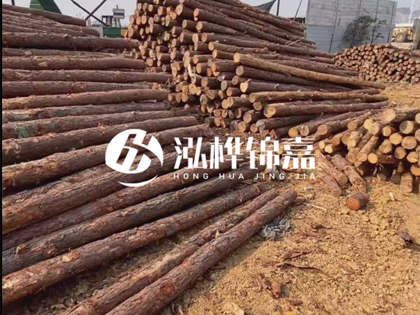 河道木樁施工遇到淤泥怎么辦？打多深才能防沖刷？