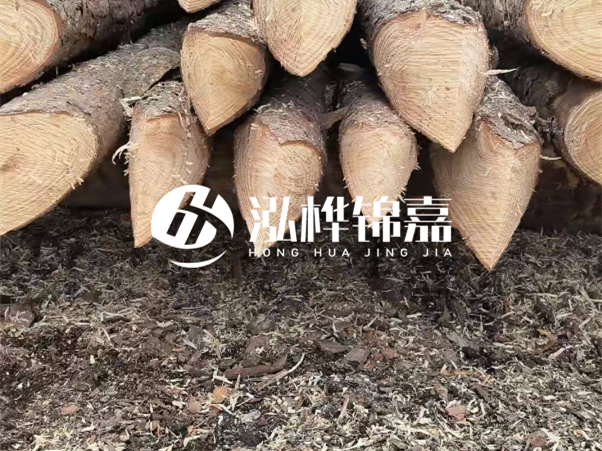 打樁木樁與鋼樁相比有哪些優(yōu)缺點(diǎn)？如何進(jìn)行后期維護(hù)？