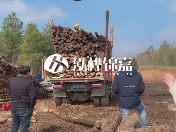 松木樁價(jià)格是按米算還是按根算？6米松木樁批發(fā)價(jià)每根多少錢？