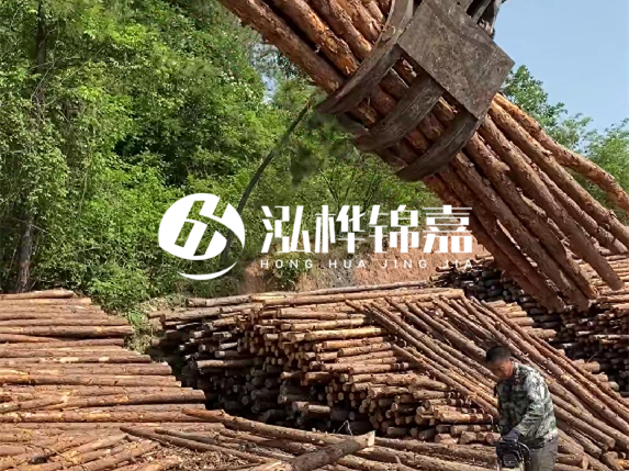 防汛木樁頂部怎么防裂？防汛木樁被洪水沖歪怎么辦？