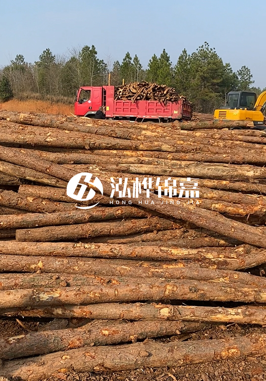 8米小頭11-13CM的松木樁價格是多少？打樁施工怎么算？