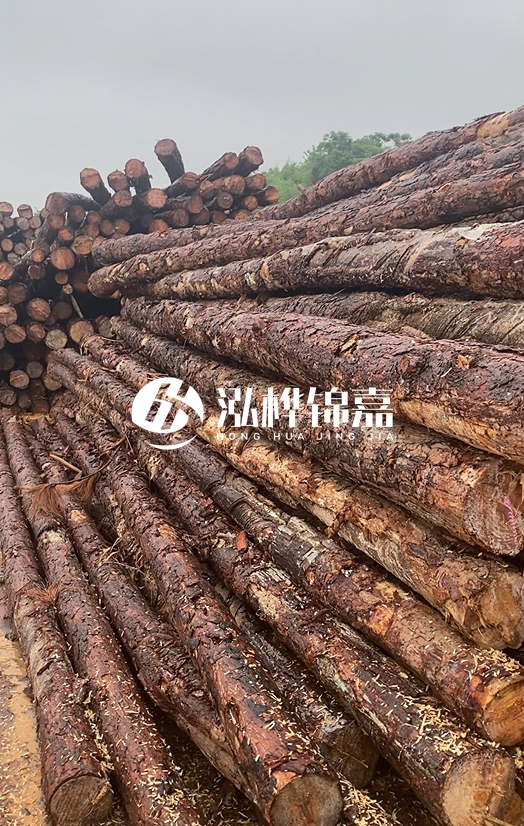 購買松木樁注意事項(xiàng)有哪些-不同直徑松木樁區(qū)別有哪些？