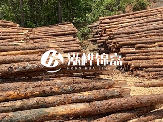 松木樁的運(yùn)輸費(fèi)用是否包含卸車費(fèi)？卸貨時(shí)需要注意哪些安全問題？