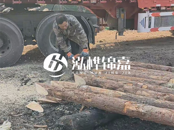 松木圓木價(jià)格大概多少一方-松木樁廠家按方可以賣嗎？
