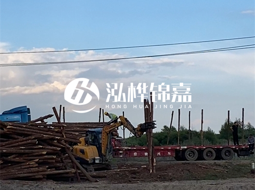 河北打樁木源頭廠家泓樺錦嘉 - 北方常用打樁木是什么？