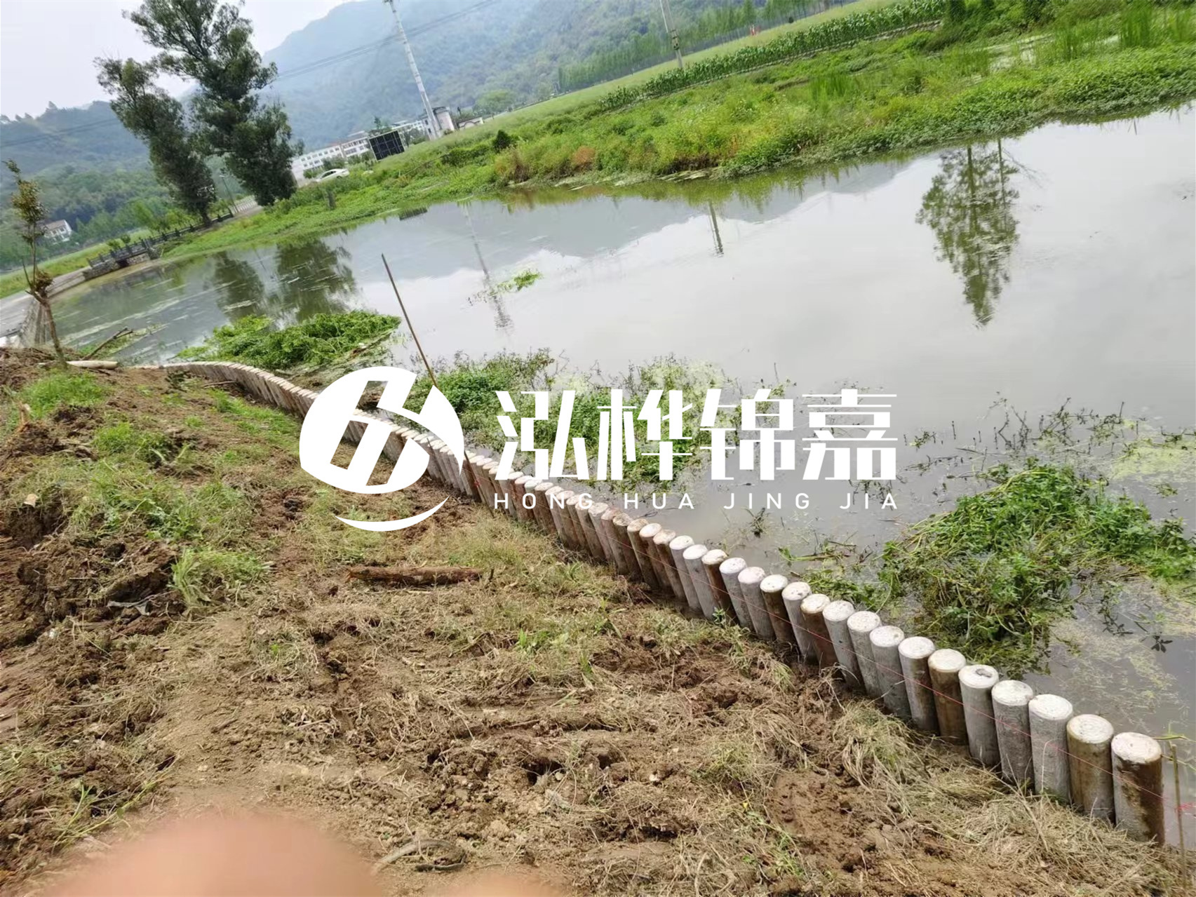 松木樁加固河道與水泥樁對比如何？哪一種更加適合您？
