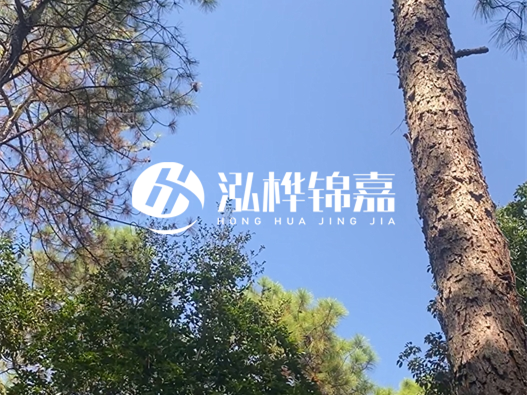 松木樁廠家泓樺錦嘉可以實地考察嗎？需要提前預約嗎？