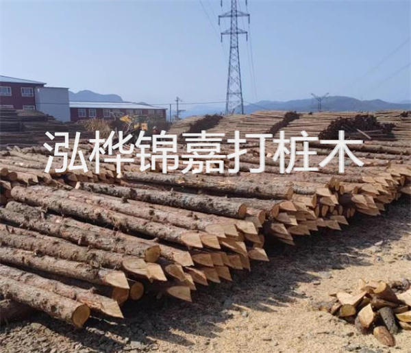 高效、穩(wěn)定的松木樁圍護(hù)施工圖