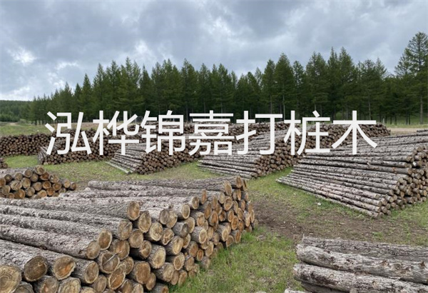 預(yù)制松木樁施工工藝：優(yōu)質(zhì)材料，高效快速，堅(jiān)固耐用