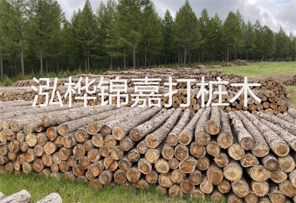 松木樁能施工嗎？探究視頻揭秘真相！