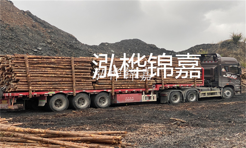 河道松木樁施工價(jià)格：選擇優(yōu)質(zhì)服務(wù)，保障工程質(zhì)量