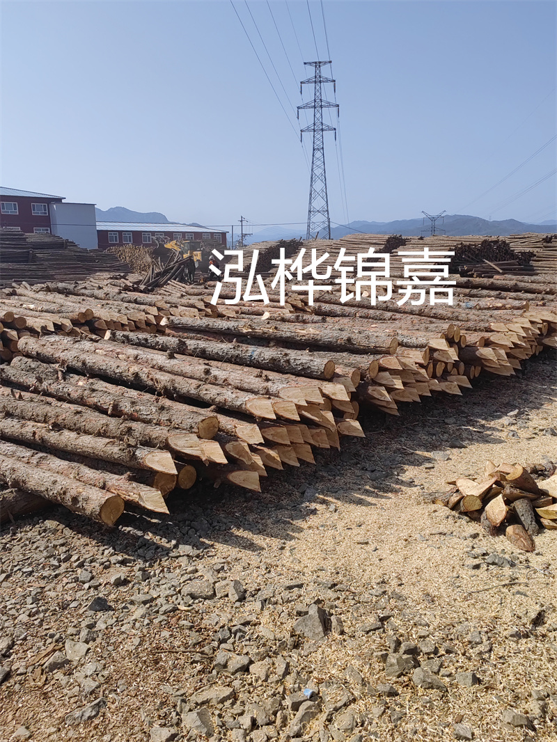 深入了解松木樁基礎(chǔ)施工單價，助力工程建設(shè)順利進(jìn)行！