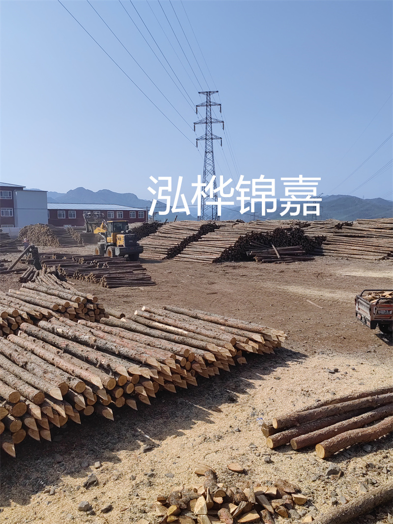 高效便捷的松木樁拔除施工方案，省時省力解決難題