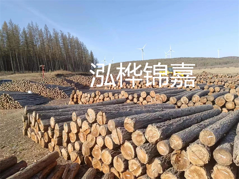 用路基松木樁施工方案提升工程質(zhì)量描述：了解路基松木樁施工方案的重要性，提高工程質(zhì)量關(guān)鍵詞：路基松木樁，施工方案，工程質(zhì)量