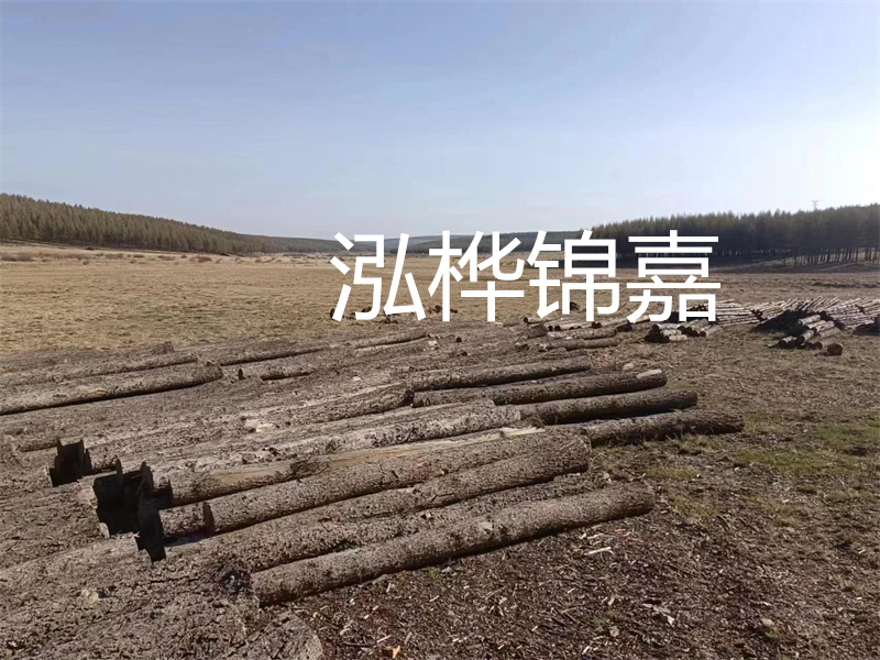 鄂州松木樁哪里好？推薦泓樺錦嘉松木樁業(yè)！